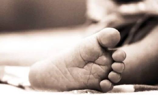 बसना : ट्रेक्टर के पहिये में दबने से 4 वर्षीय मासूम की मौत - CG Sandesh