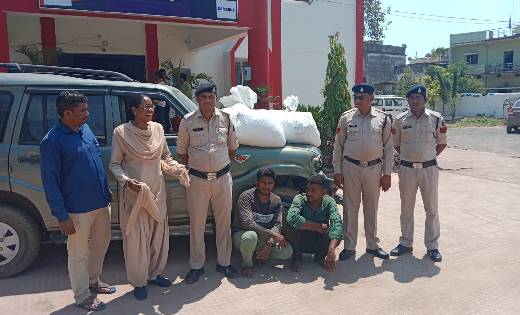 बसना पुलिस के हत्थे चढ़े दो गांजा तस्कर, 10 लाख का गांजा जप्... - CG Sandesh