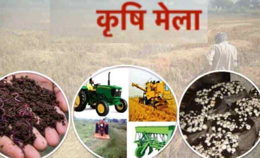 महासमुंद : जिला स्तरीय जैविक कृषि मेला एवं कृषक संगोष्ठी 25 ... - CG Sandesh