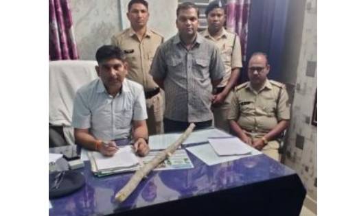 पिथौरा : मानसिक रूप से विक्षिप्त व्यक्ति की डंडे से पीट-पीटक... - CG Sandesh