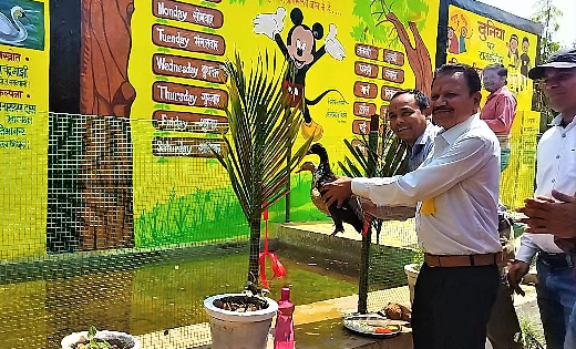 महासमुंद : स्कूल में पढ़ाई के साथ-साथ व्यवसायिक शिक्षा हेतु ब... - CG Sandesh