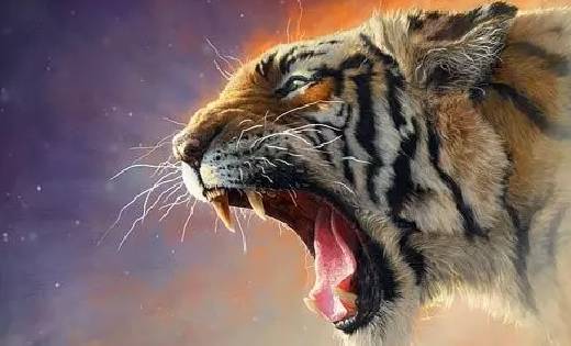 छत्तीसगढ़ में यहाँ बाघ मचा रहा उत्पात, दहशत में इलाका छोड़कर भ... - CG Sandesh