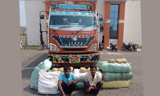 महासमुंद : 700 किलो गांजा जब्त , मुर्रा के नीचे दबाकर हो रही... - CG Sandesh