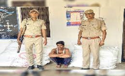 गांजा व भांग के 259 पौधे जब्त, एक गिरफ्तार - CG Sandesh