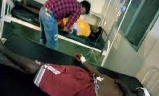  दो ग्रामीण भालू के हमले से घायल, लोगों में दहशत का माहौल - CG Sandesh