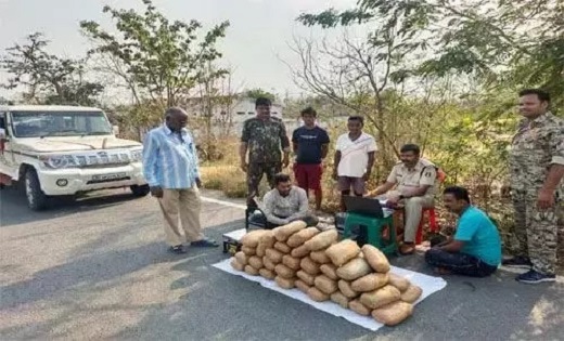 बोलेरो वाहन सहित 22 लाख का मादक पदार्थ जब्त , अवैध गांजे की ... - CG Sandesh