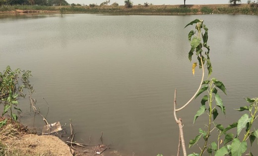 दर्दनाक हादसे में तीन स्कूली बच्चों की मौत, नहाने के दौरान ह... - CG Sandesh