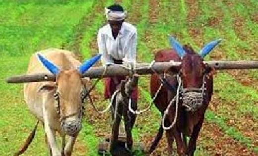 महासमुंद : किसान भाईयों के लिए बकाया ऋण अदायगी के लिए एकमुश्... - CG Sandesh