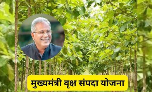 महासमुंद : मुख्यमंत्री वृक्ष सम्पदा योजना अंतर्गत 534 किसानो... - CG Sandesh