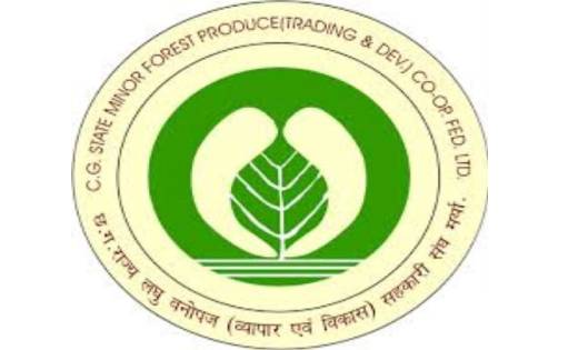 CG : वन विभाग में सहायक ग्रेड-3 के पदों पर भर्ती आदेश जारी - CG Sandesh