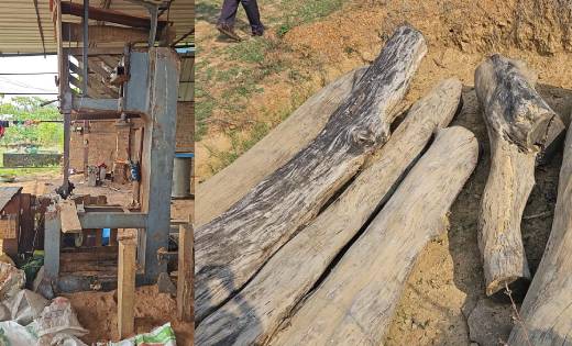 वन विभाग द्वारा अवैध कोयला भट्टा के संचालन पर की गयी कार्रवा... - CG Sandesh