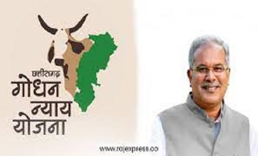 गोधन न्याय योजना से हो रही है 3 लाख से अधिक महिलाएं लाभान्वि... - CG Sandesh