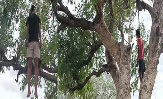 दो दोस्तों की एक ही पेड़ पर लटकती मिली लाश - CG Sandesh