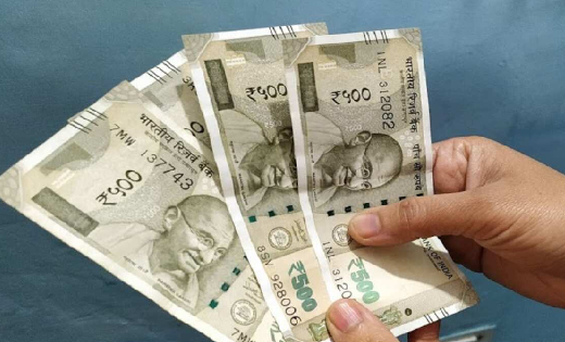 गाँव में रहकर ही शुरू कर सकते हैं ये बिजनेस, होगी अच्छी खासी... - CG Sandesh