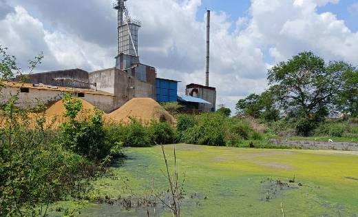 बसना : राइस मीलों से निकलने वाले अपशिष्टों से लोग परेशान; एस... - CG Sandesh