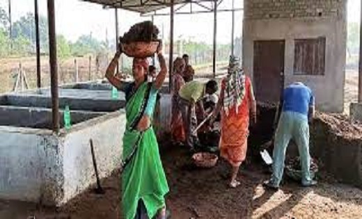  गौठान बना समूह की महिलाओं के लिए आमदनी का जरिया - CG Sandesh