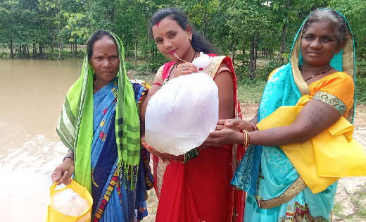 बसना/पिथौरा : गोठानों से महिला स्व सहायता समूहों ने कमाए लाख... - CG Sandesh