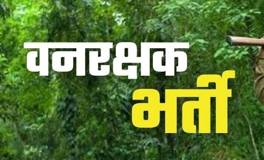 वनरक्षक के 291 पदों पर वन विभाग ने शुरू की भर्ती प्रक्रिया - CG Sandesh
