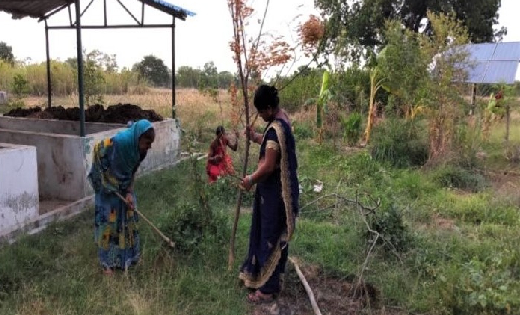 बसना : ठूठापाली गोठान से जुड़कर लक्ष्मी महिला समूह ने 9 लाख 1... - CG Sandesh