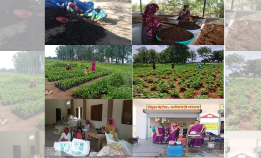 महासमुंद : सफलता की कहानी : महिला समूह के लिए बिरकोनी गौठान ... - CG Sandesh
