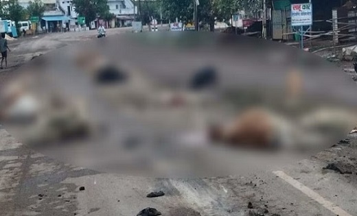 3 गायों को हाईवा ने कुचला, 11 मवेशियों की मौत, 2 की हालत गंभ... - CG Sandesh