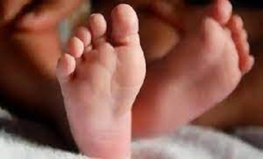 हॉस्पिटल में नवजात बच्चों की अदला-बदली, दो परिवारों में हुआ ... - CG Sandesh