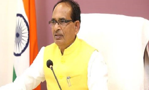  सड़क को करेंगे डायवर्ट...पेड़ों को नहीं हटाने देंगे : मुख्यमं... - CG Sandesh