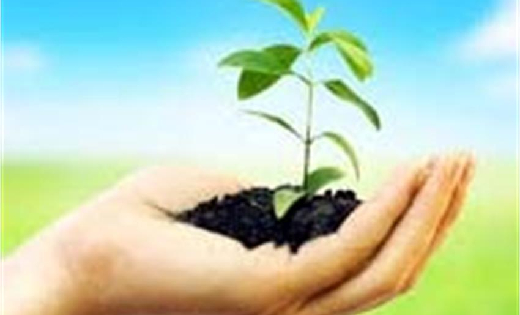 महासमुंद : विश्व पर्यावरण दिवस के मौके पर स्वामी आत्मानंद स्... - CG Sandesh