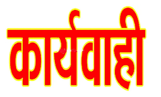 वन विभाग की कार्यवाही : रात्रि गश्त के दौरान अवैध रूप से 06 ... - CG Sandesh