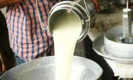 विश्व दुग्ध दिवस : श्वेत क्रांति के असर से दूध उत्पादन में व... - CG Sandesh