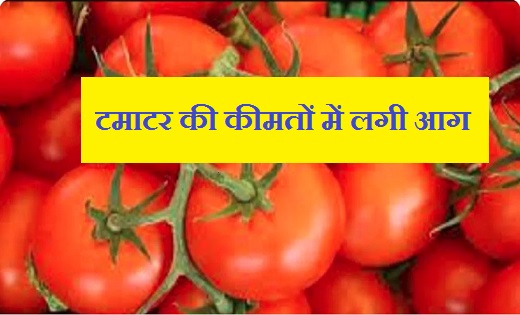 आम जनता का बिगड़ गया बजट...टमाटर की कीमतों में लगी आग - CG Sandesh