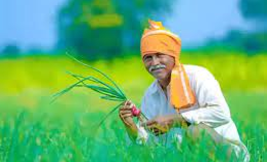किसानों के लिए विशेष पैकेज की घोषणा - CG Sandesh