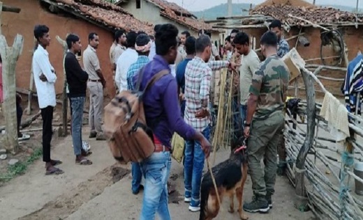 CG : भालू और बाघ की खाल बरामद, आरोपी गिरफ्तार - CG Sandesh