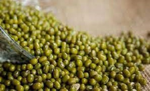  अच्छी खबर :  12 जून से शुरू होगी समर्थन मूल्य पर मूंग की खर... - CG Sandesh