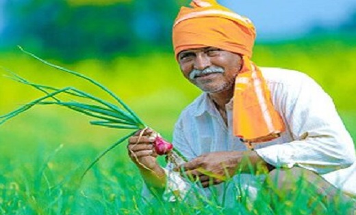 बड़ी खबर : केंद्र सरकार का MSP पर बड़ा फैसला, धान समेत कई फसल... - CG Sandesh