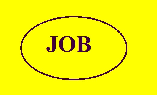 JOB : 905 पदों पर इस विभाग में निकली भर्ती, कर सकते है आप भी... - CG Sandesh