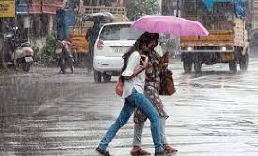महासमुंद : जिले में अब तक 379.3 मिलीमीटर औसत वर्षा - CG Sandesh