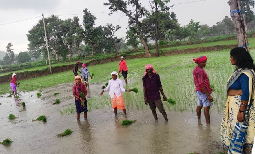महासमुंद : जिले में मतदाता जागरूकता अभियान जोरों पर - CG Sandesh