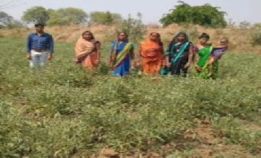 बसना : सफलता की कहानी : गोधन न्याय योजना से लक्ष्मी स्व सहाय... - CG Sandesh