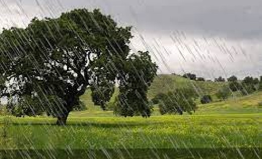 महासमुंद जिले में अब तक 242.7 मिलीमीटर औसत वर्षा, बसना में 0... - CG Sandesh