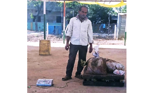 महासमुंद : सफलता की कहानी : गोधन न्याय योजना से वीरेन्द्र के... - CG Sandesh