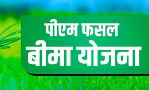 महासमुंद : प्रधानमंत्री फसल बीमा योजनान्तर्गत 31 जुलाई तक कर... - CG Sandesh