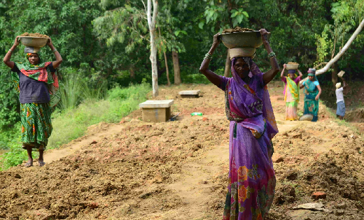 देश में कम हो रही गरीबी : 5 वर्षों में 13.5 करोड़ भारतीय बहु... - CG Sandesh