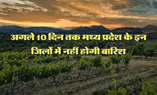 MP में 10 दिनों तक नहीं होगी बारिश...जानें छत्तीसगढ़ में कैस... - CG Sandesh