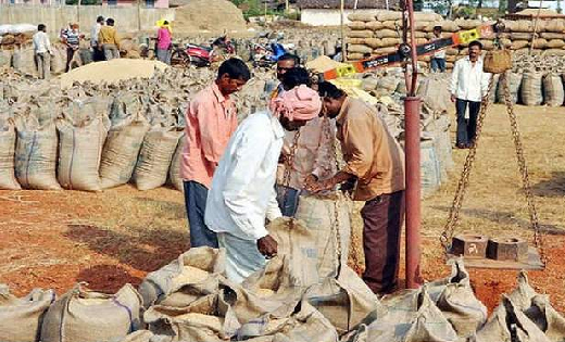 धान बेचने हेतु नये और पुराने पंजीकृत किसानों का नॉमिनी अनिवा... - CG Sandesh