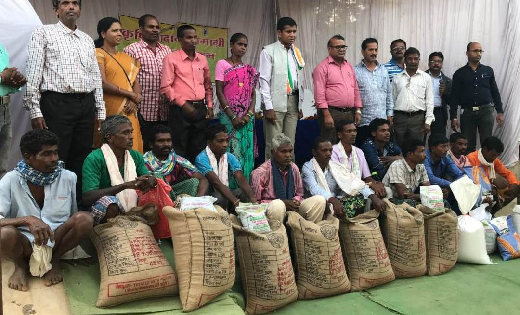कोण्डागांव क्षेत्र में जैविक पद्धति से हो रही सुगंधित धान की... - CG Sandesh