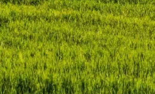 अब गर्मी से राहत : राजस्थान के इन इलाकों में होगी भारी बारिश... - CG Sandesh