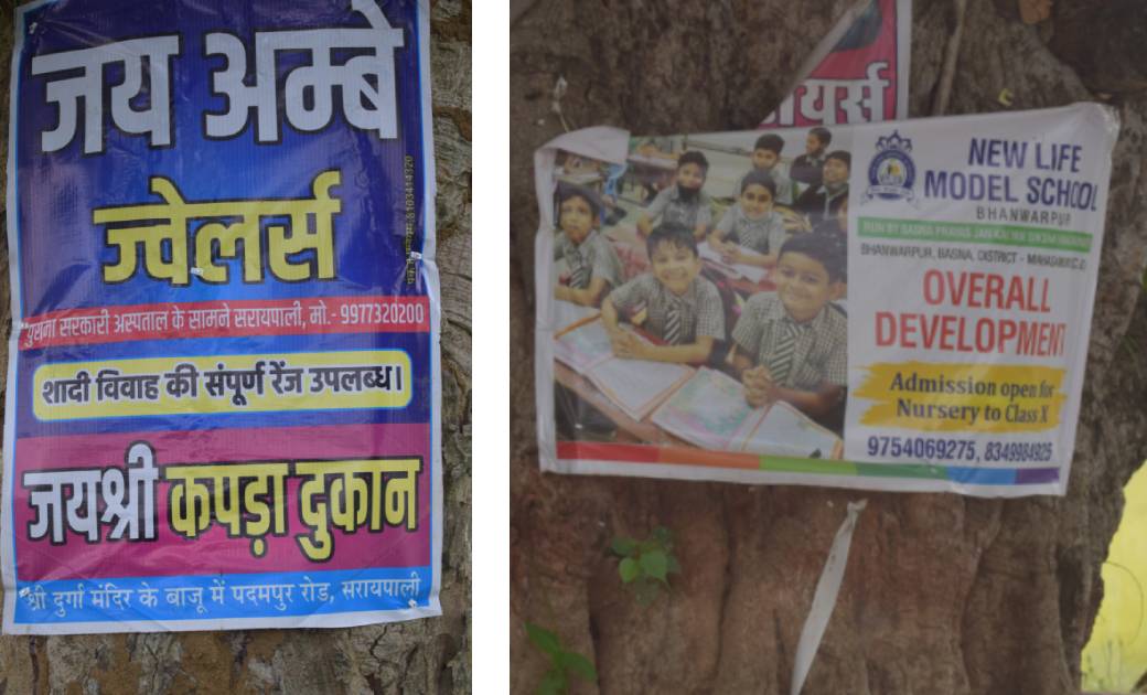 सरायपाली : पेड़ों पर लग गए विज्ञापन लेकिन संस्था को नहीं है प... - CG Sandesh