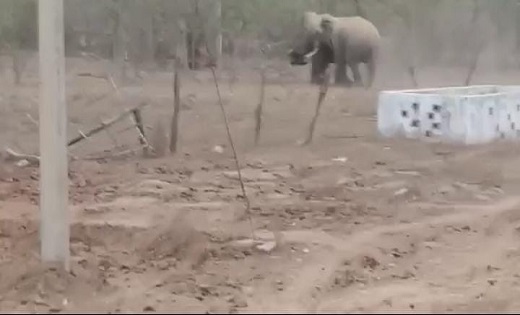 BREAKING : वन विभाग ने किया ग्रामीणों को अलर्ट...पैरी नदी को... - CG Sandesh