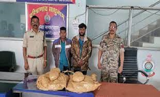 CG : अवैध गांजे की परिवहन करते दो आरोपियों को पुलिस ने धरदबो... - CG Sandesh